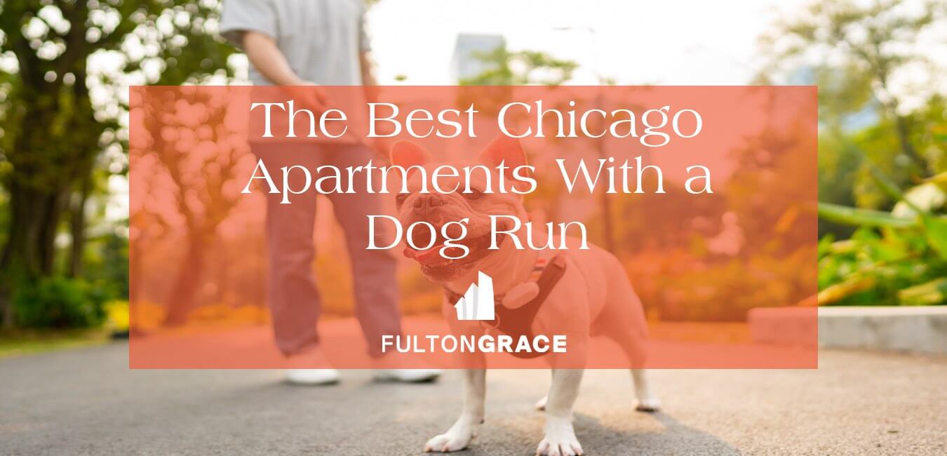 Image showcasing The Best Chicago Apartment Buildings With a Dog-Run & Dog-Friendly ...