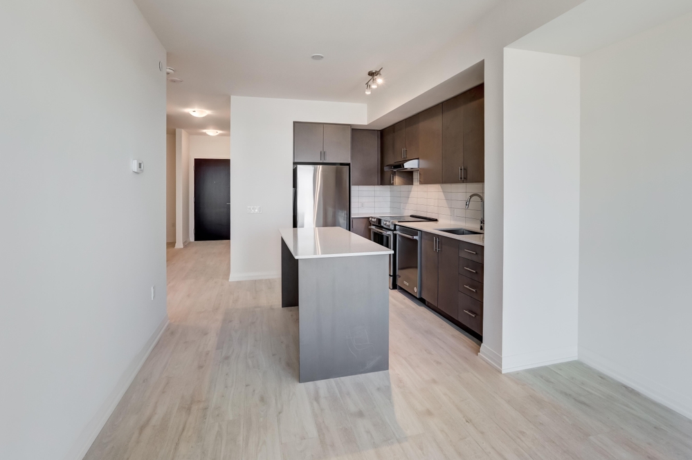 Affordable Apartment Buildings in Streeterville, Chicago IL Fulton